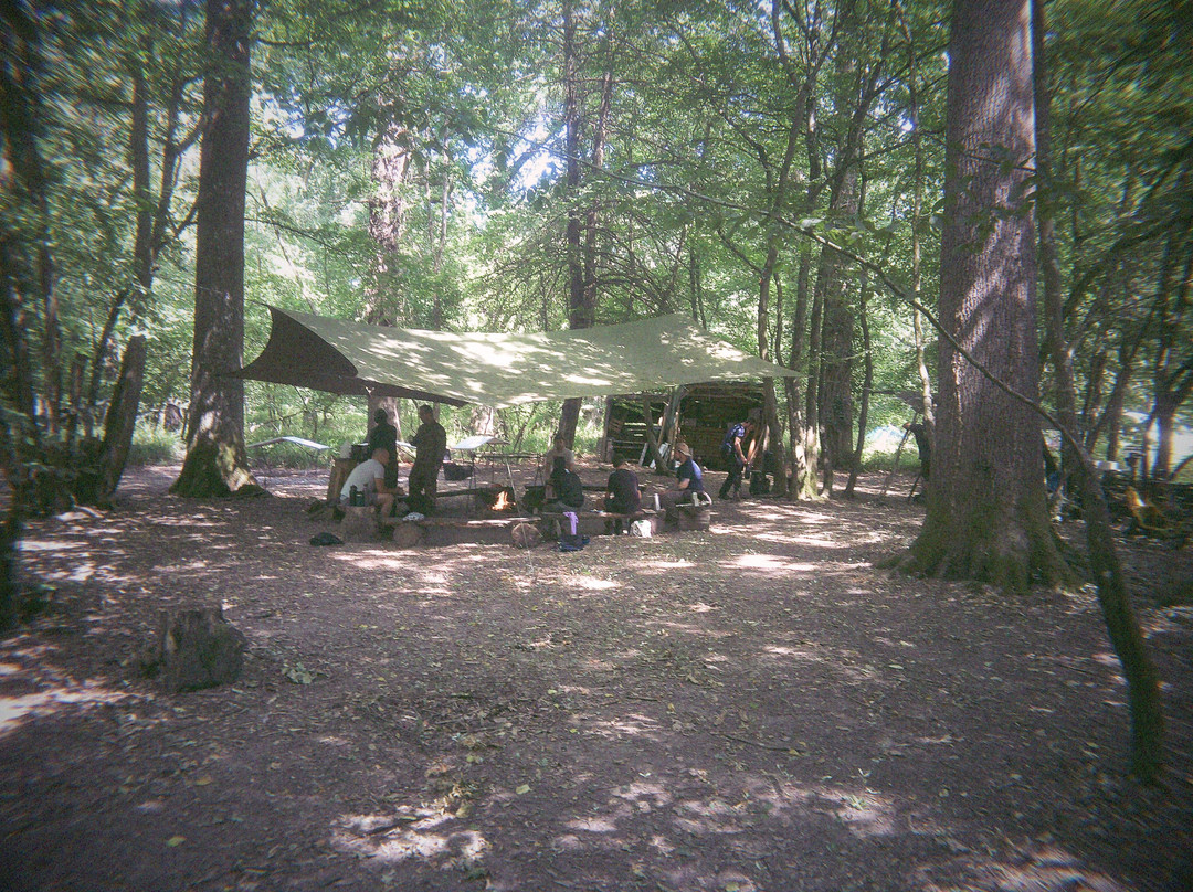 Wildway Bushcraft-Wimborne Minster必去景点