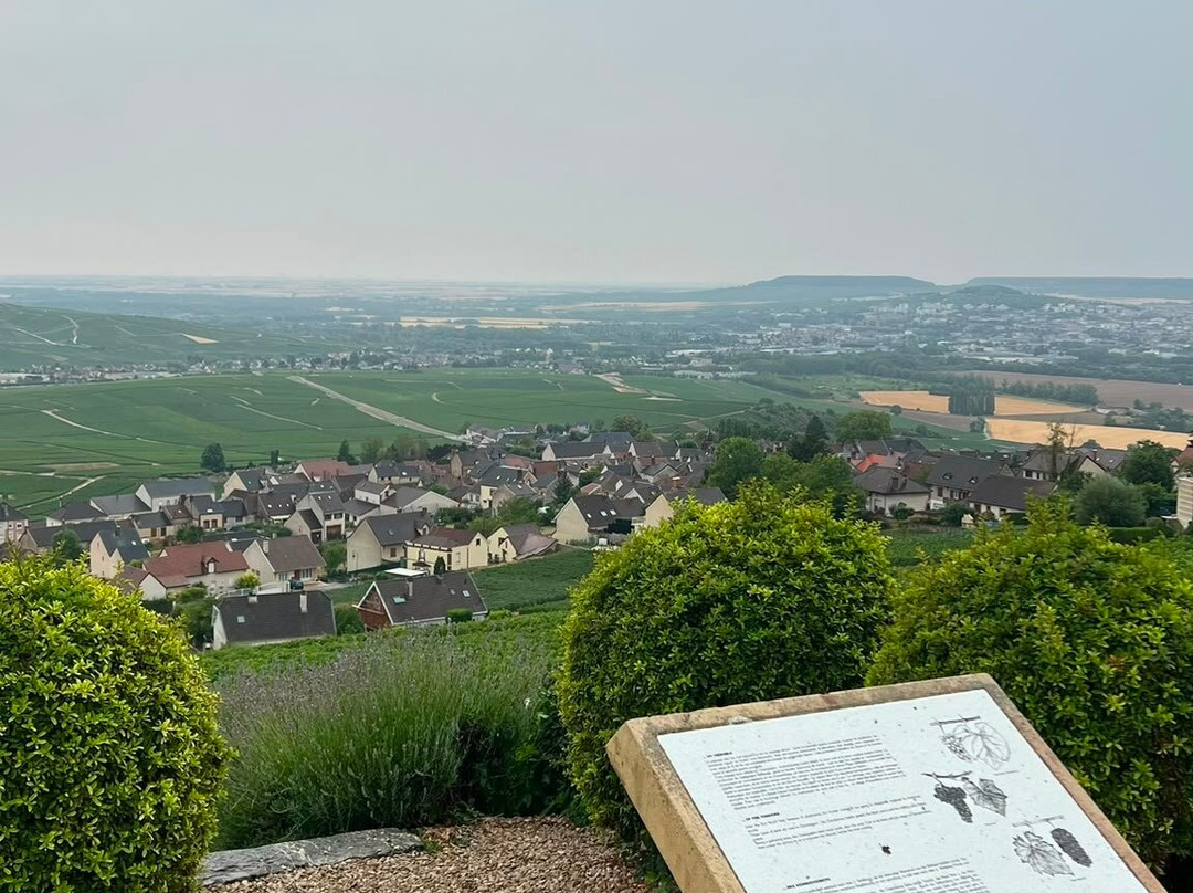 Manoir François du Tilleul - Reims - Fismes主图