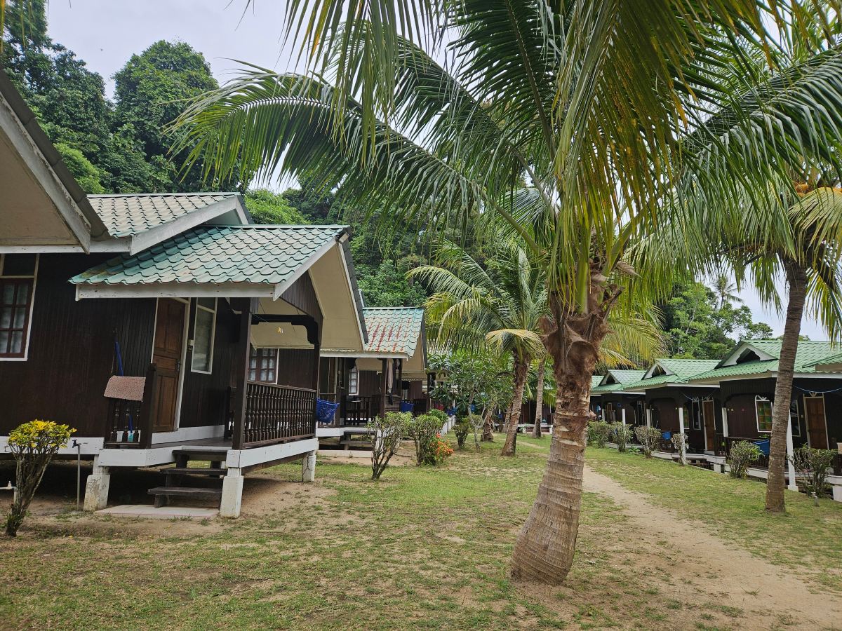 Mama's Place-旅行者