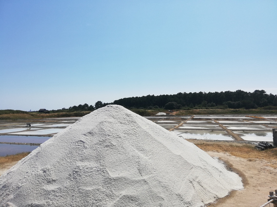 Le Petit Train des Marais Salants-La Turballe必去景点