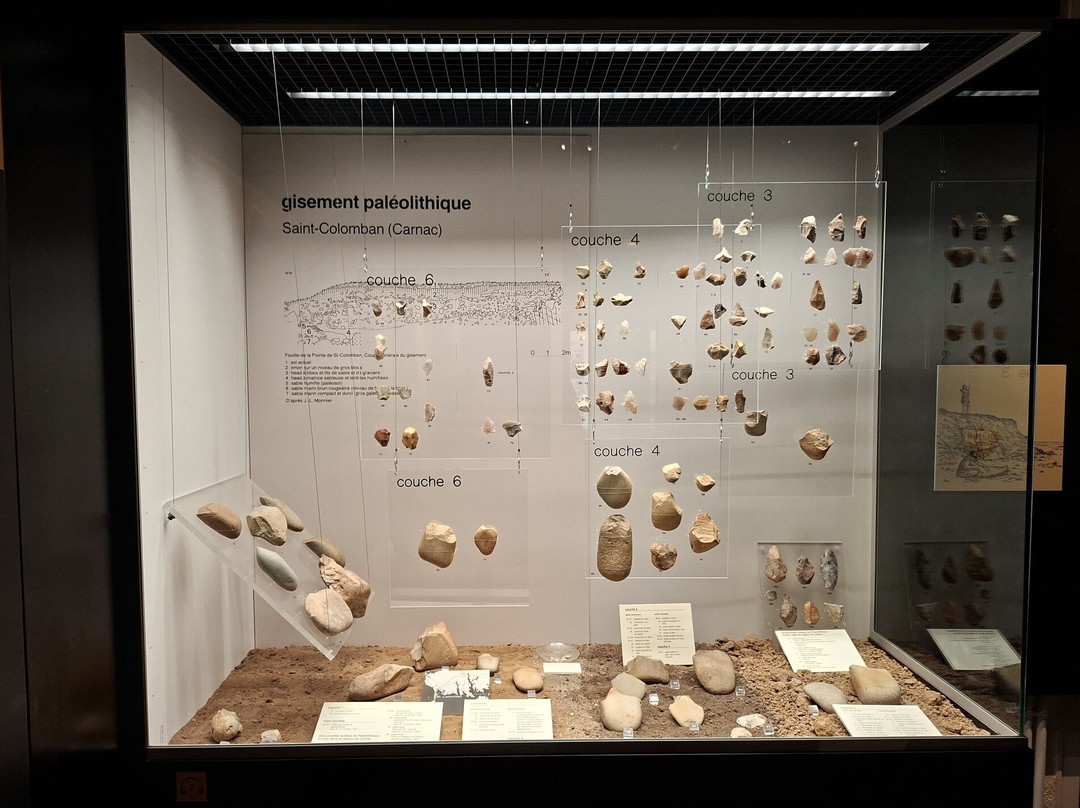 Musée de Préhistoire-卡纳克必去景点