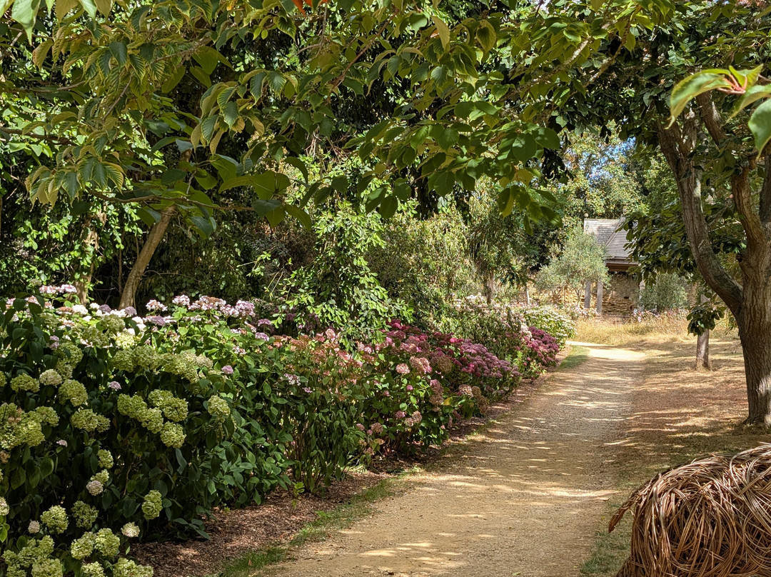 Abbotsbury Subtropical Gardens-Abbotsbury必去景点