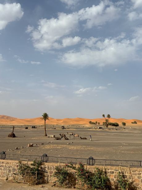 Nasser Palace Suites & Spa-旅行者