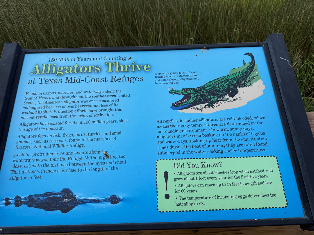 Brazoria National Wildlife Refuge-Freeport必去景点