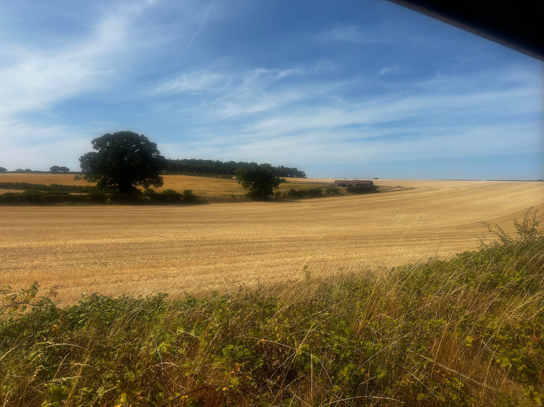 Wells & Walsingham Light Railway-Wells-next-the-Sea必去景点