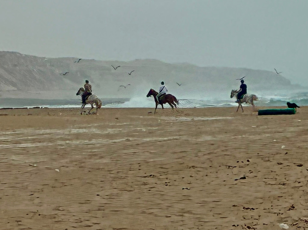 Cheval Agadir Ranch Acienda-奥瑞尔必去景点