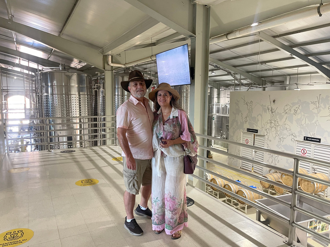 Monte Xanic Bodega Vinícola-Valle de Guadalupe必去景点