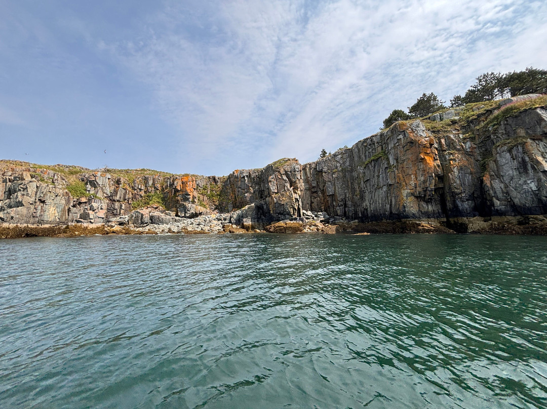 Robertson Sea Tours & Adventures-Milbridge必去景点