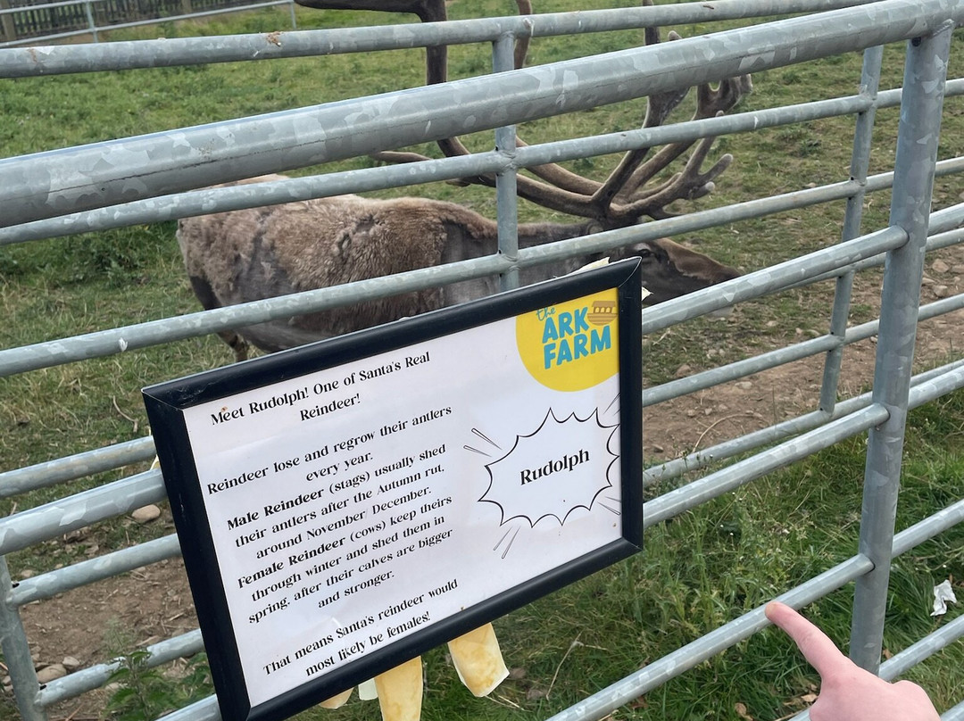 The Ark Open Farm-Newtownards必去景点