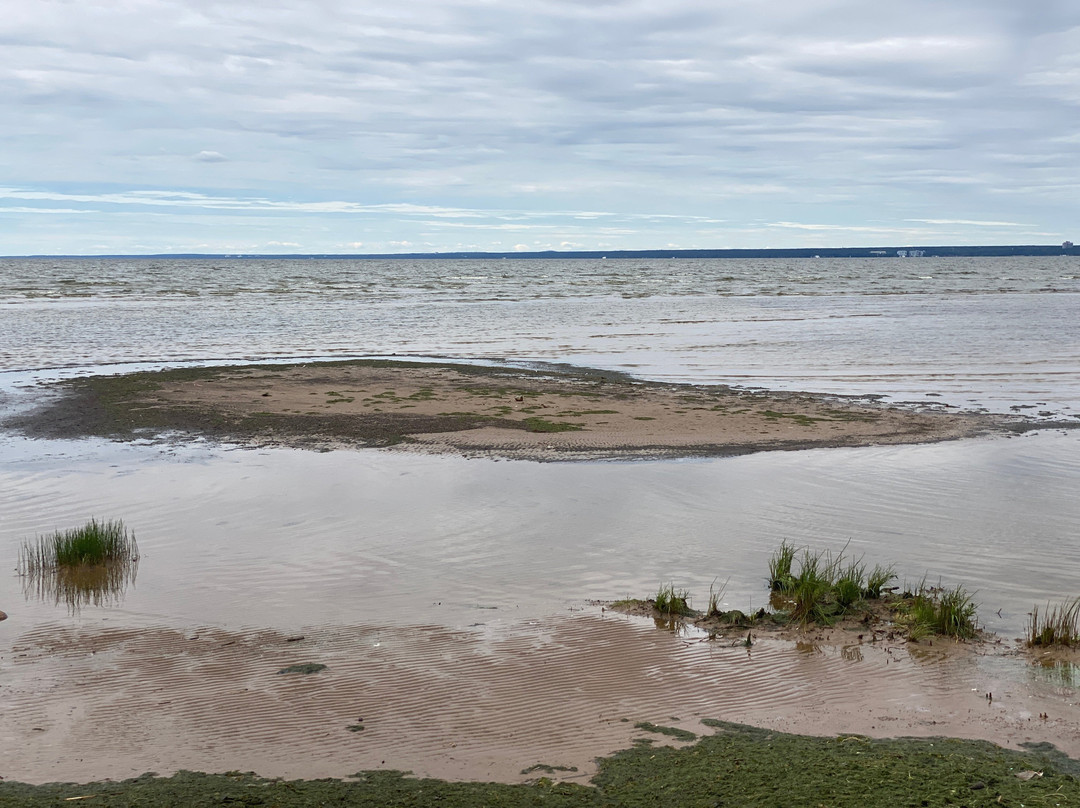 Dubkovskiy Beach-Sestroretsk必去景点