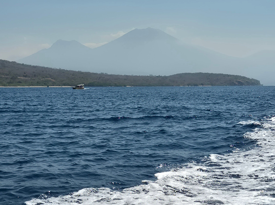 Menjangan Tour Snorkeling & Diving-Pejarakan必去景点