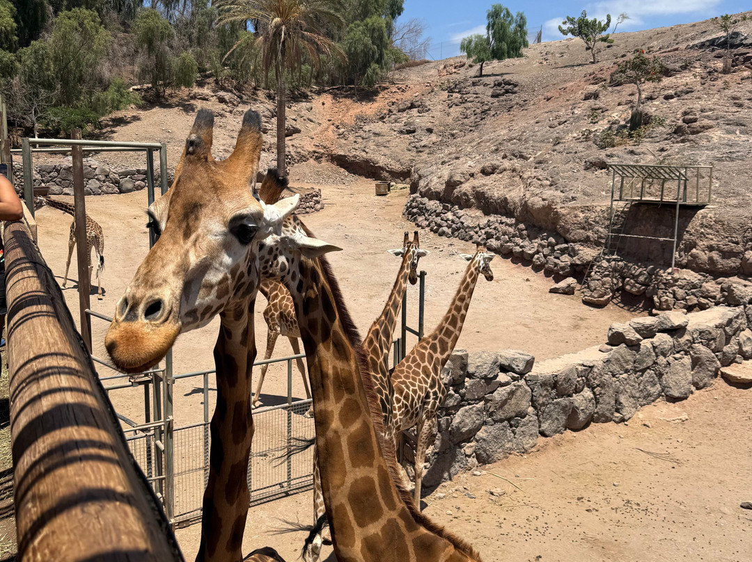 Oasis Park Fuerteventura-La Lajita必去景点