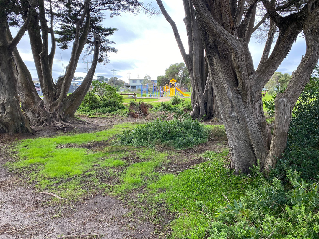 Lions Park Playground