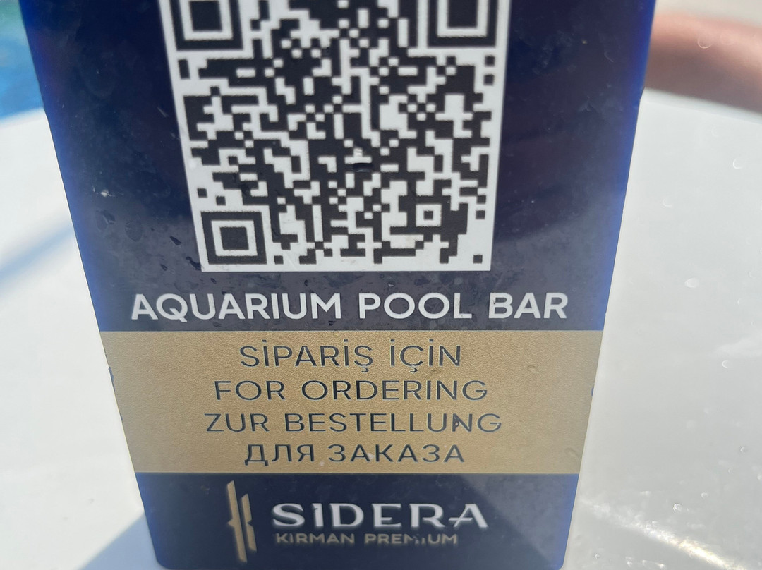 科尔曼西德拉豪华水疗酒店主图