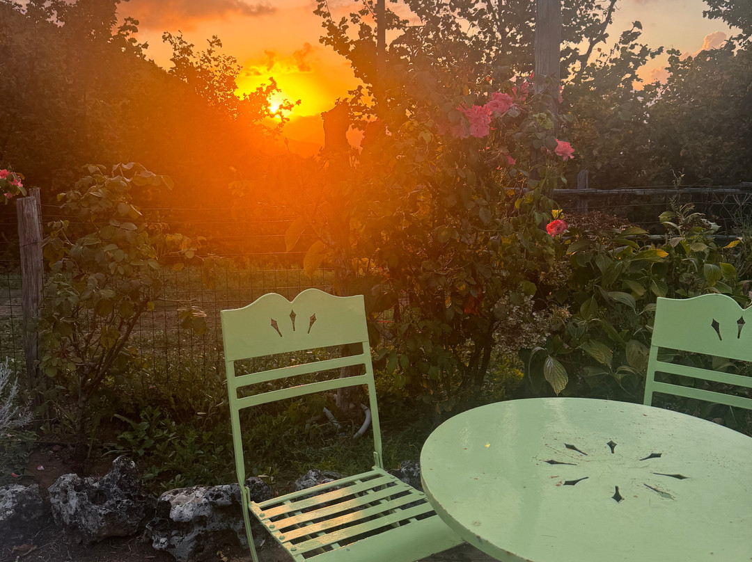 Agriturismo Barone Antonio Negri主图