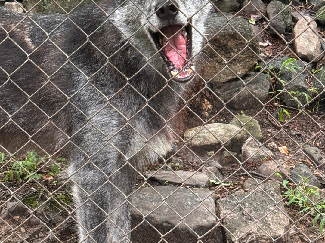 Lakota Wolf Preserve-Columbia必去景点