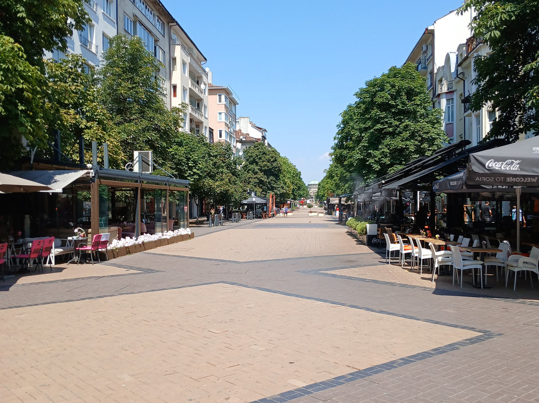 Vitosha Boulevard-索非亚必去景点