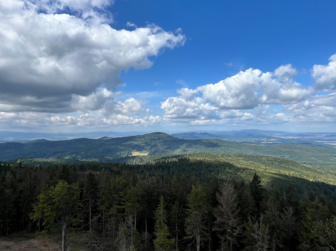 Borůvková hora Lookout-Javornik必去景点