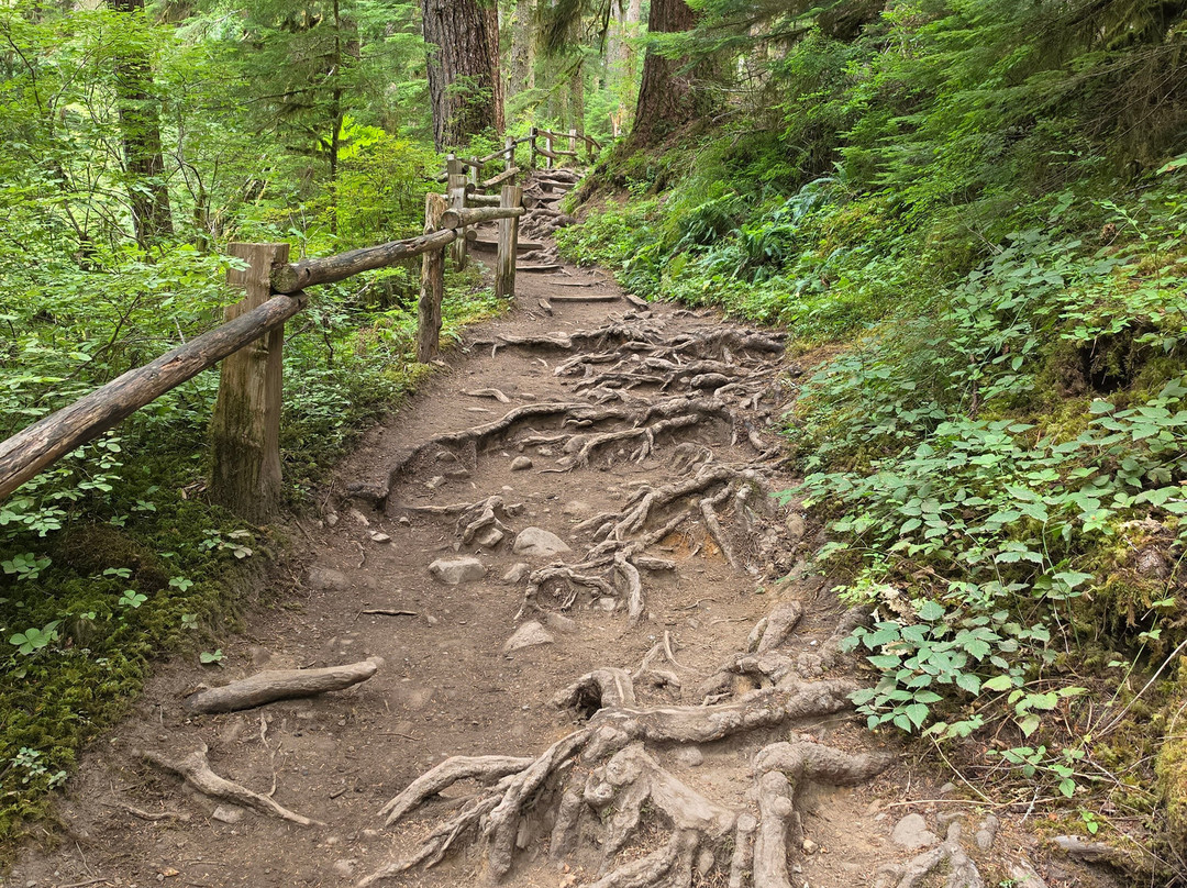 Sol Duc Falls-奥林匹克国家公园必去景点
