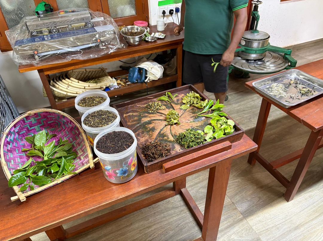 Ella Organic Tea Garden-Heeloya必去景点