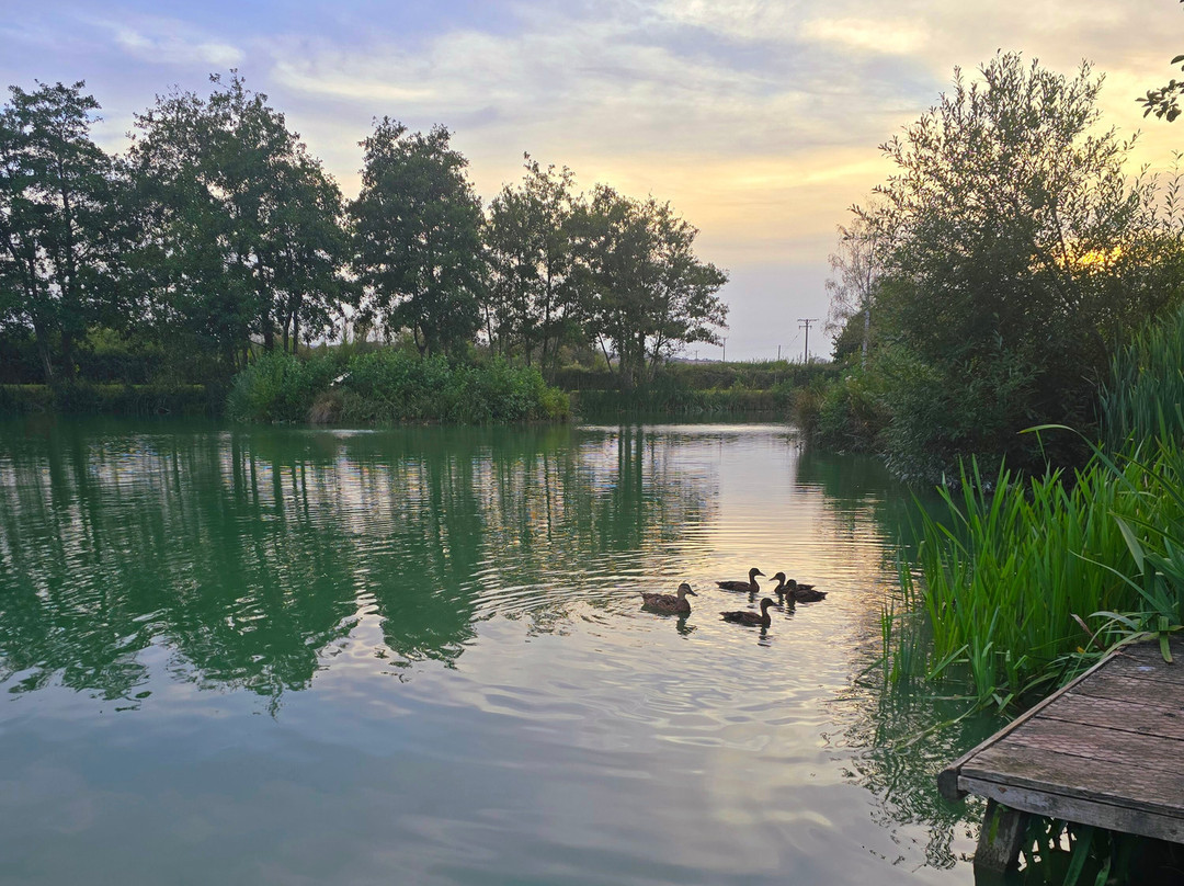 Burton Springs Fishing and Holidays-布里奇沃特必去景点