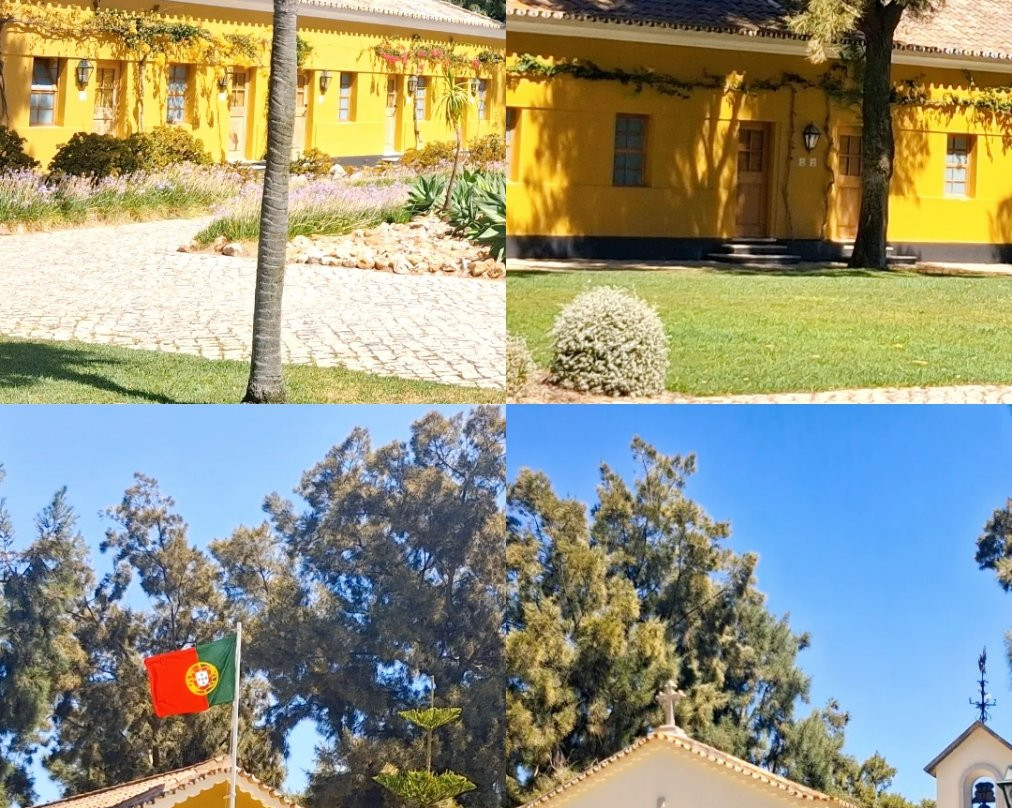 Vila Galé Albacora 生态海滩之旅主图