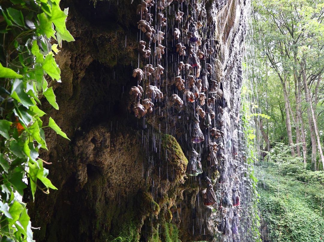 Mother Shipton's Cave-Knaresborough必去景点
