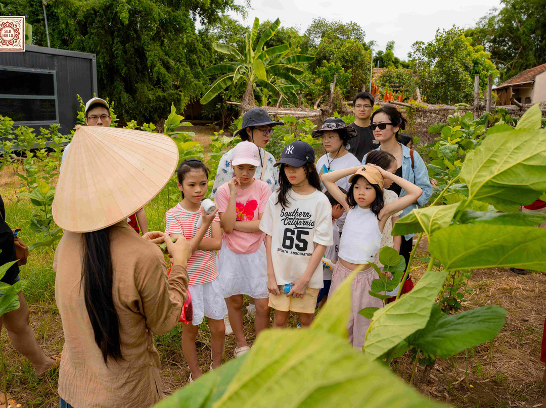 Silk Farm Bến Giá-宁平必去景点