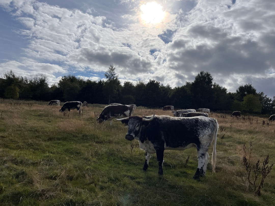 Hepple Wilds Estate-Rothbury必去景点