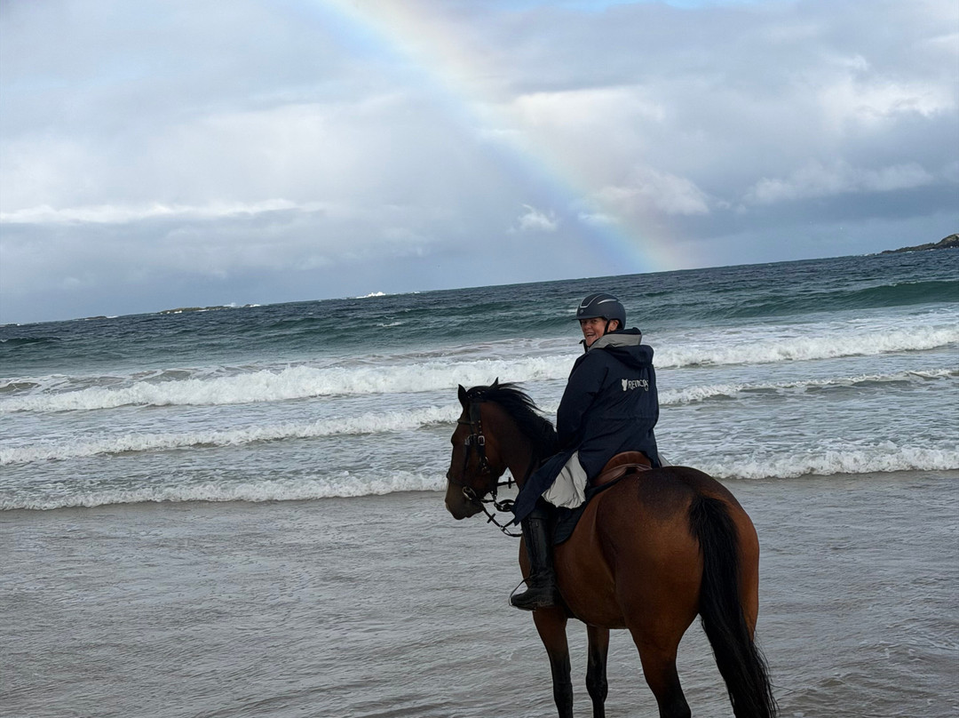 Bespoke Equestrian Ireland-都柏林必去景点