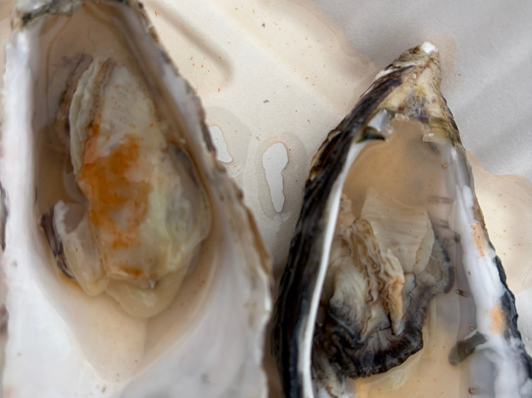 Conwy Mussels Co.-Conwy必去景点