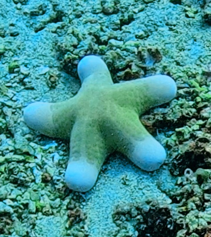 Amed White Sand Divers-艾湄湾必去景点