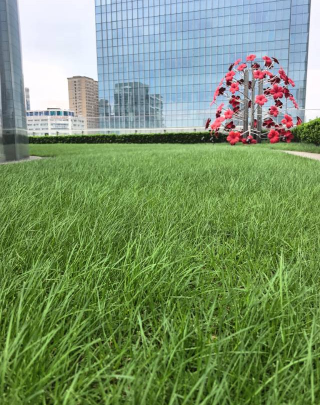 长沙尼依格罗酒店主图