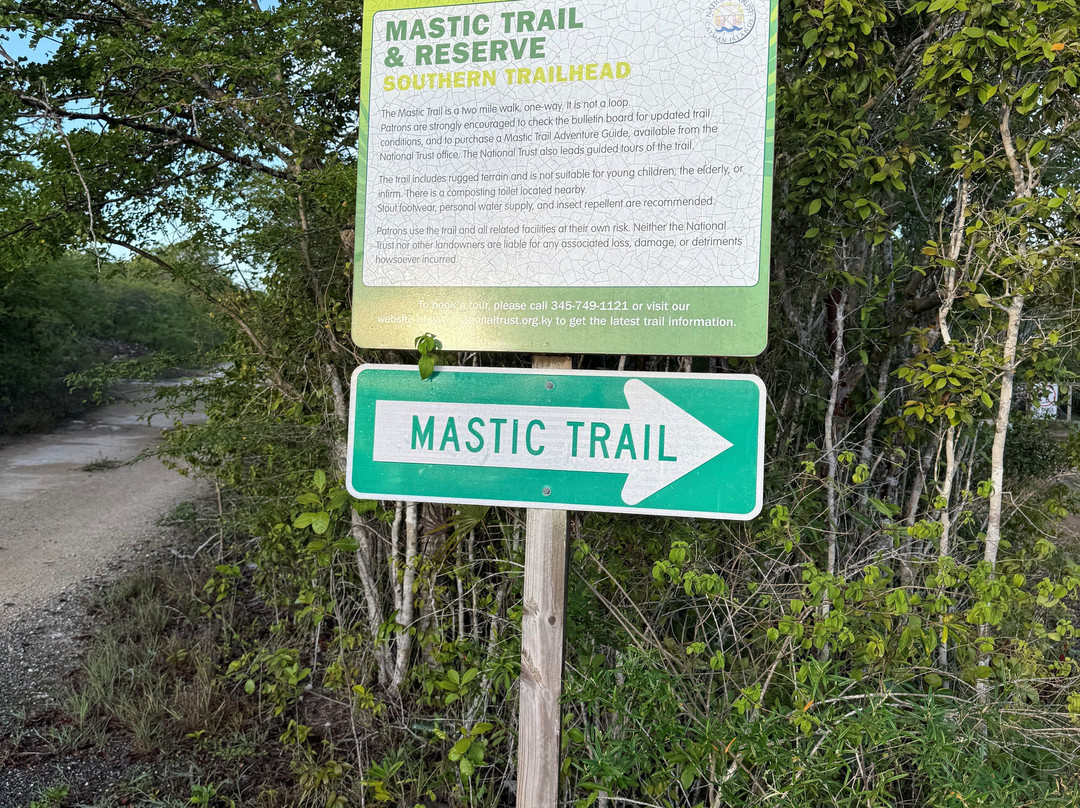 Mastic Trail-大开曼岛必去景点