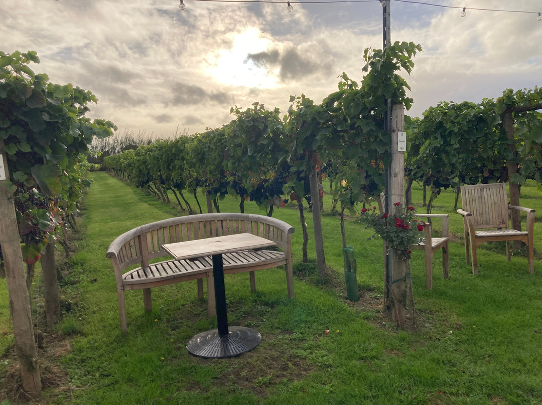 Yorkshire Heart Vineyard-约克必去景点