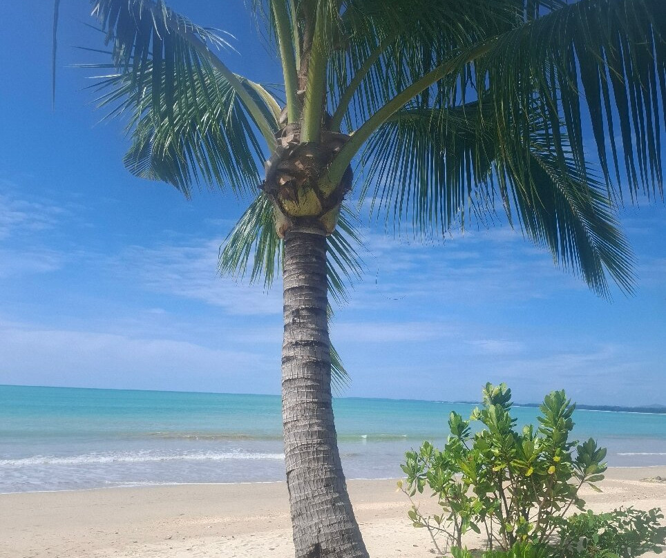 Coconut Beach-库克卡克海滩必去景点