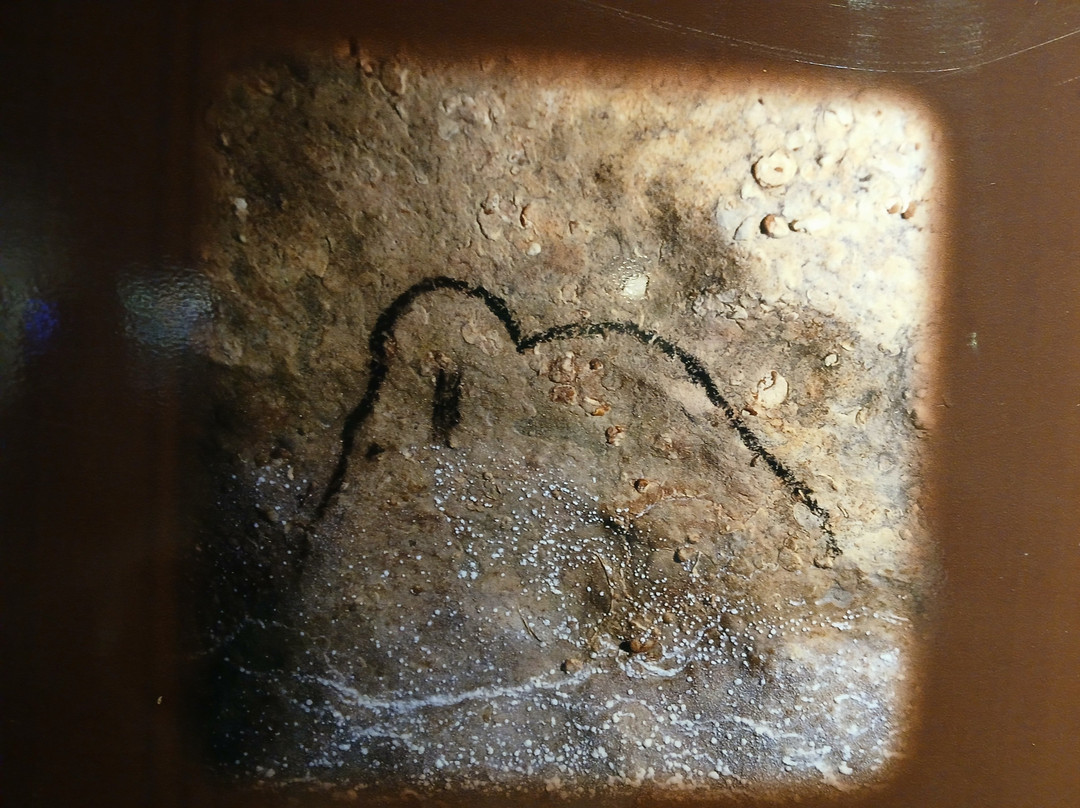 Rouffignac Cave-Rouffignac-Saint-Cernin-de-Reilhac必去景点