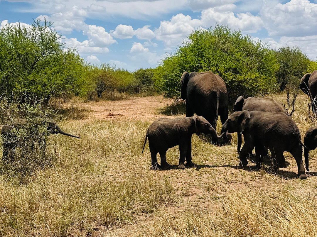 Sereland Africa Safaris-Sakina必去景点