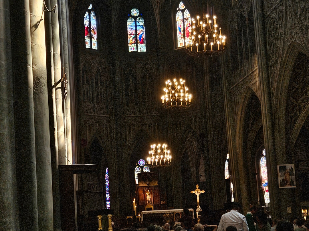 Cathédrale Saint-Francois-De-Sales-尚贝里必去景点