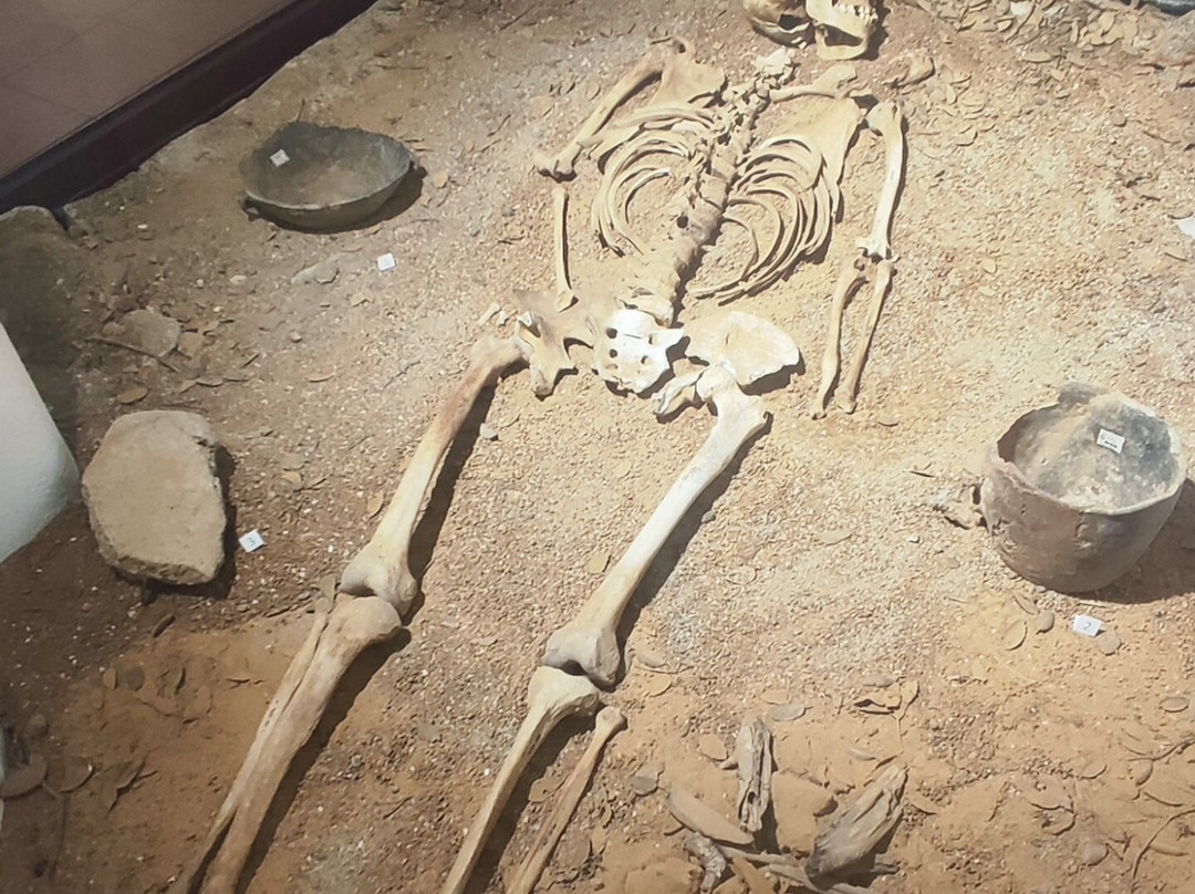Museo Nazionale Archeologico di Nuoro-Nuoro必去景点