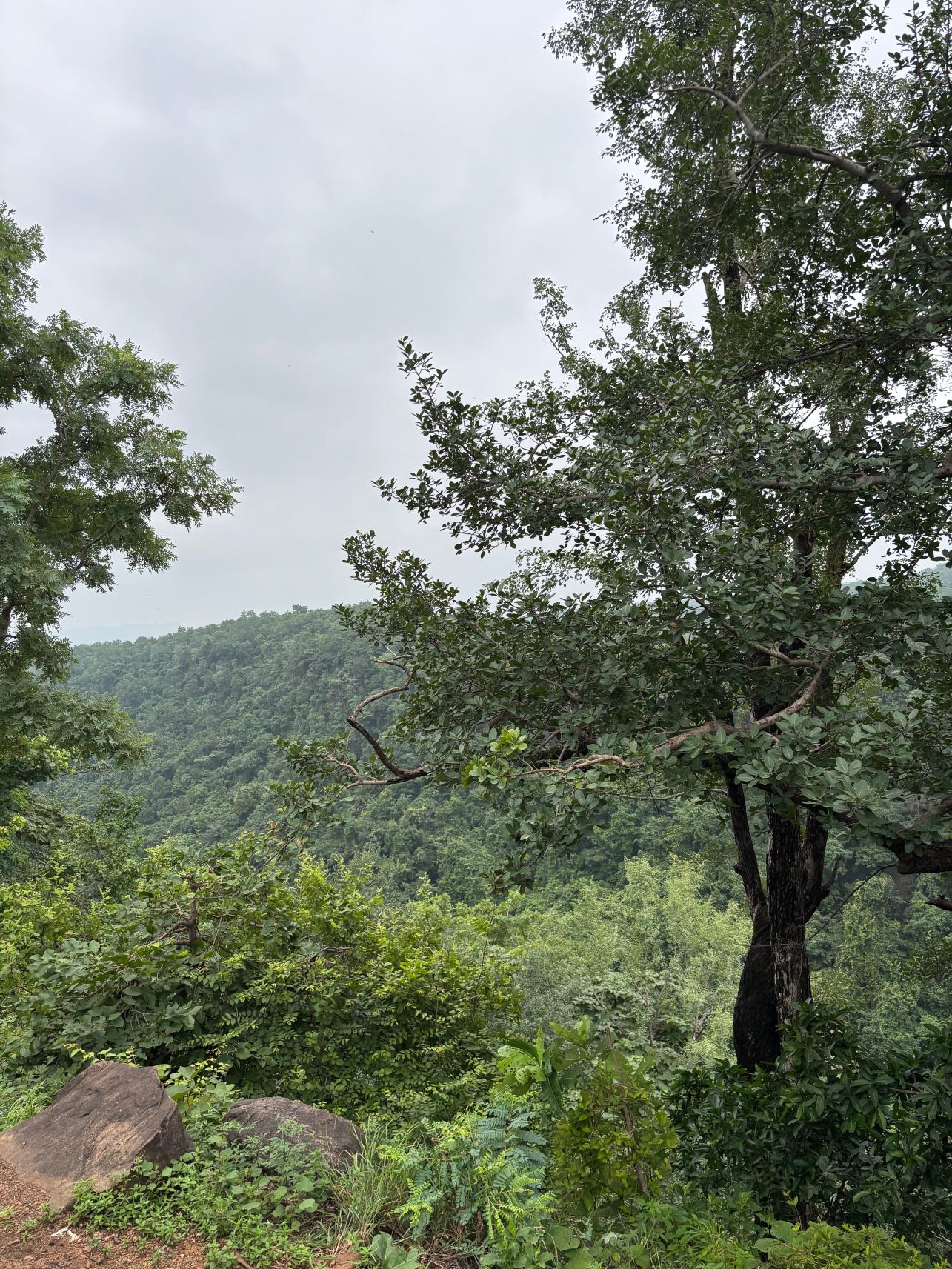 MPT Satpura Retreat, Pachmarhi-旅行者