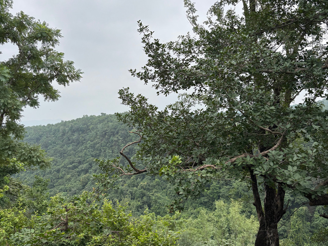 MPT Satpura Retreat, Pachmarhi主图