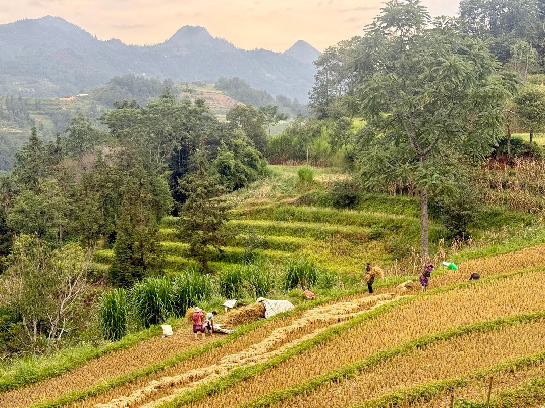 Pang Local Guide Bac Ha-Bac Ha必去景点
