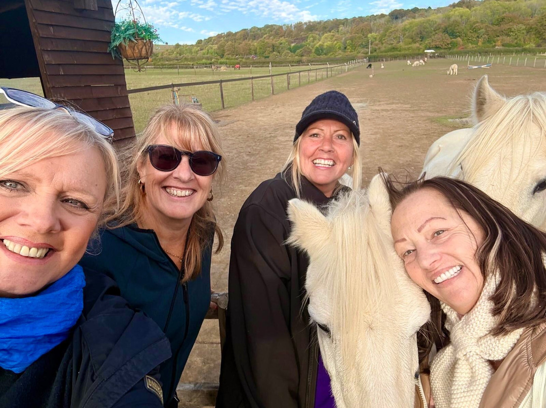 Alpaca & Unicorn Adventures