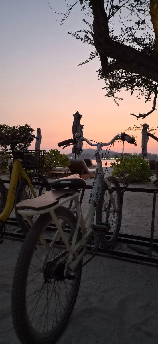 巴斯克吉利美诺酒店-旅行者