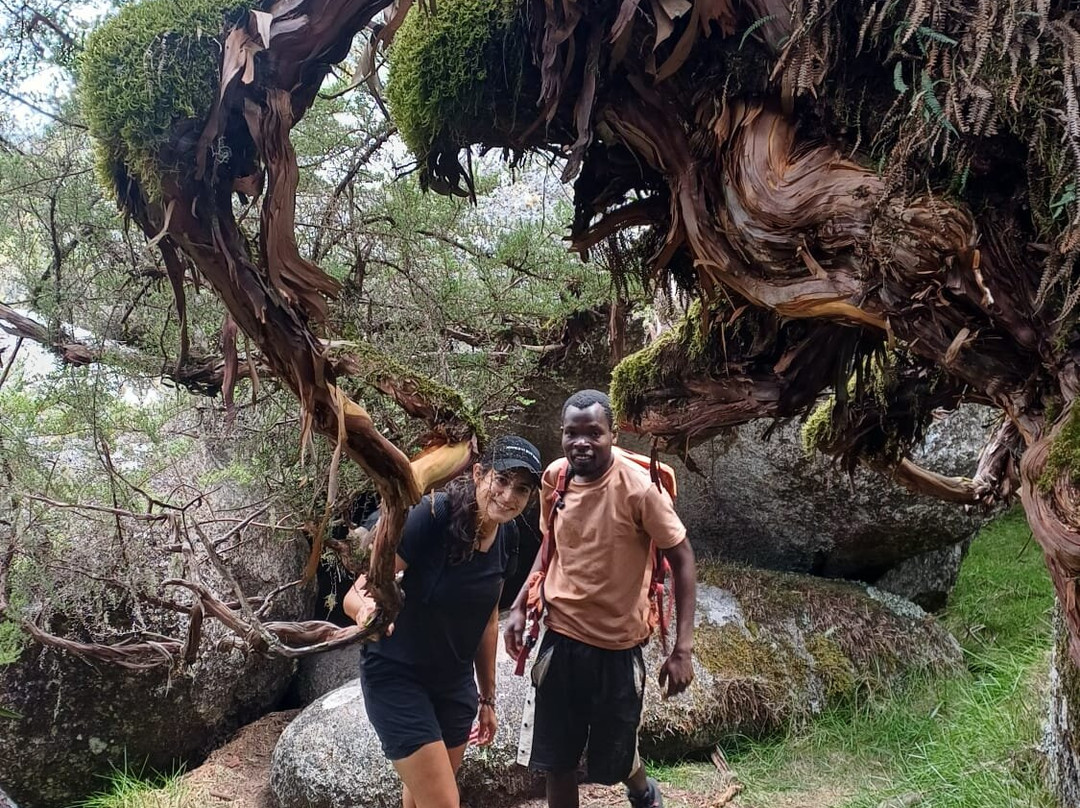Mount Mulanje-姆兰杰必去景点