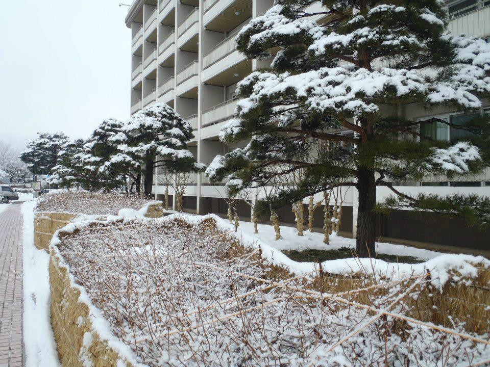 高城郡酒店住宿-Sono Del Pino