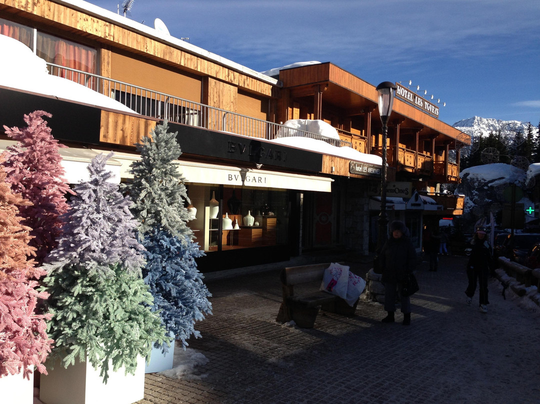 Hotel Anemones