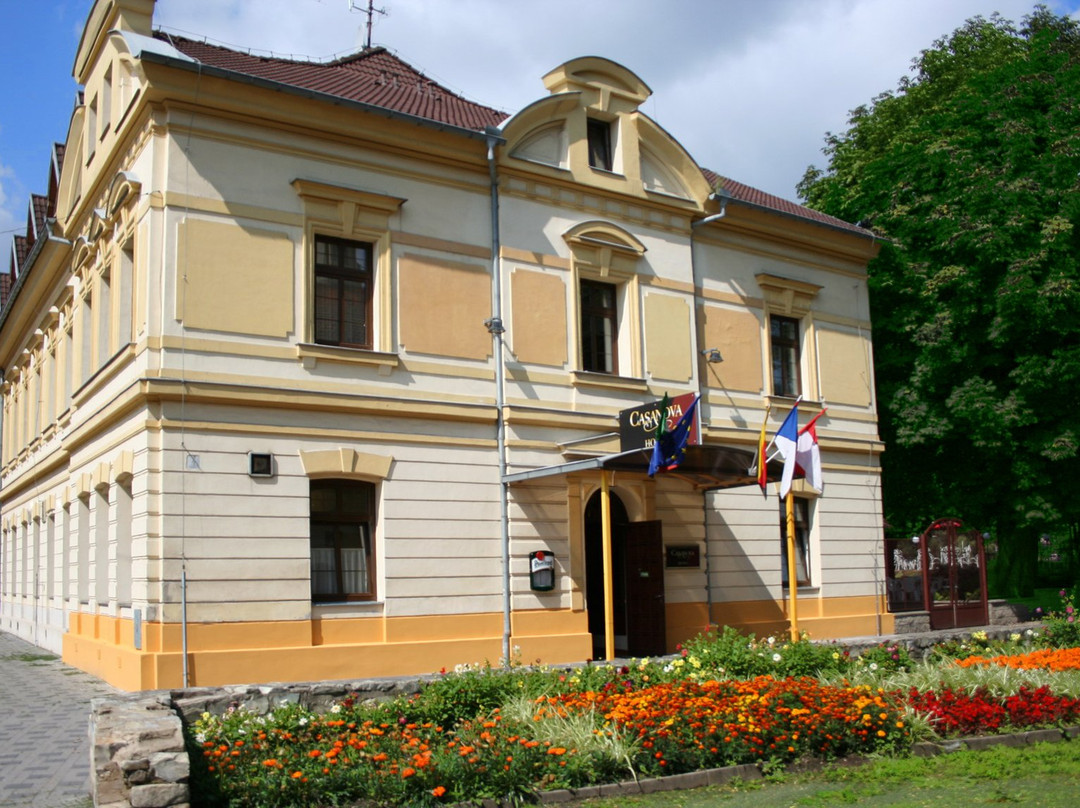 Marianske Radcice酒店住宿-Casanova Hotel