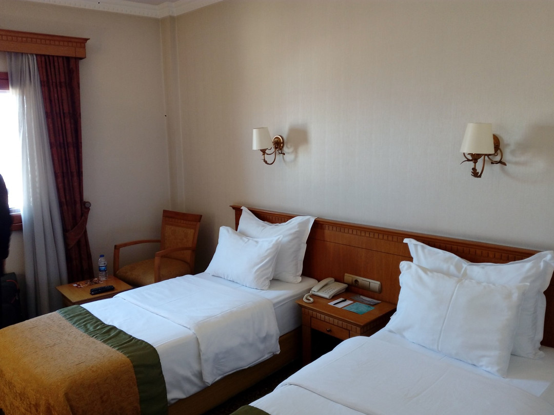 特拉布宗省酒店住宿-Usta Park Hotel